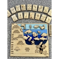 Drewniana układanka – Warstwy Oceanu