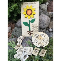 Drewniana układanka  – Budowa słonecznika (cykl rozwojowy, stemple liście, nauka liczenia )