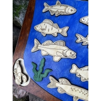 Drewniana Układanka Edukacyjna „Ryby w polskich jeziorach” zestaw malowany