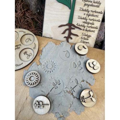 Drewniana układanka  – Budowa słonecznika (cykl rozwojowy, stemple liście, nauka liczenia )