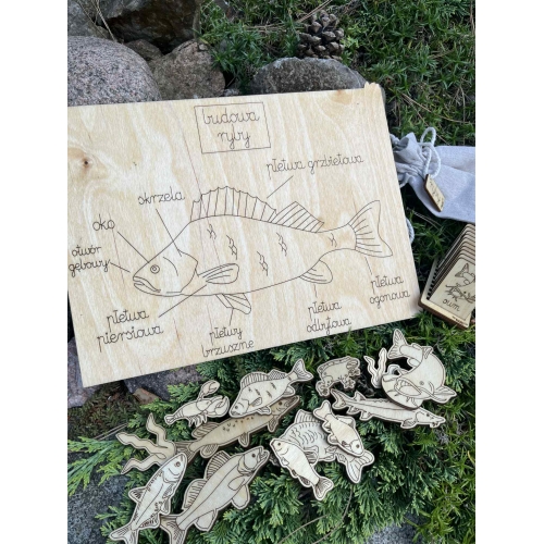 Drewniana Układanka Edukacyjna „Ryby w polskich jeziorach” zestaw niemalowany