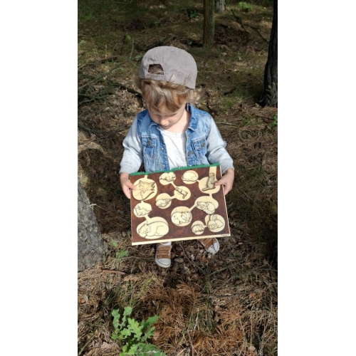 Drewniany Zestaw Edukacyjny – “Nory Zwierząt”