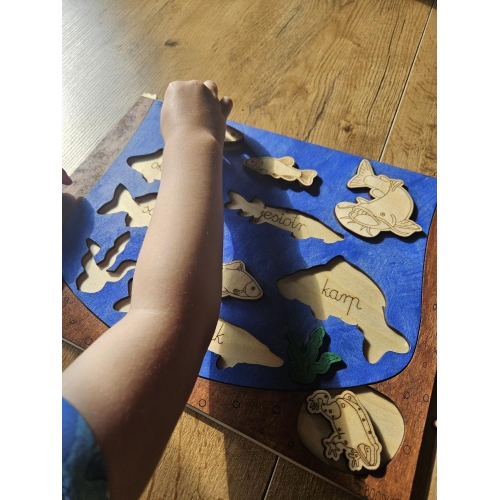 Drewniana Układanka Edukacyjna „Ryby w polskich jeziorach” zestaw malowany