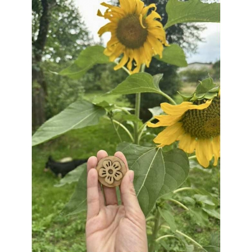 Zestaw żetonów Szukajek- dom i dwór (48 żetonów)