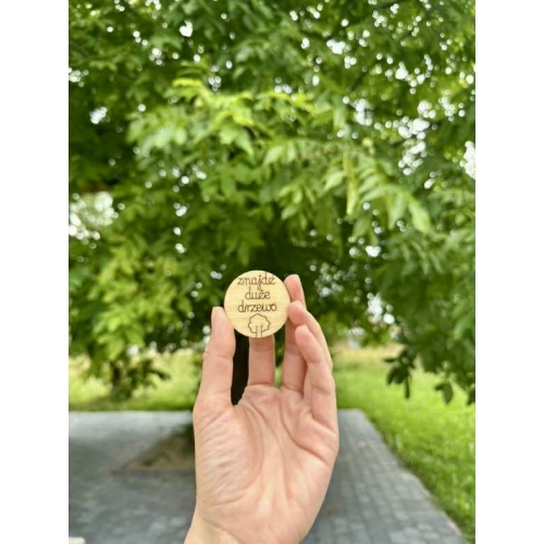 Zestaw żetonów Szukajek- dom i dwór (48 żetonów)