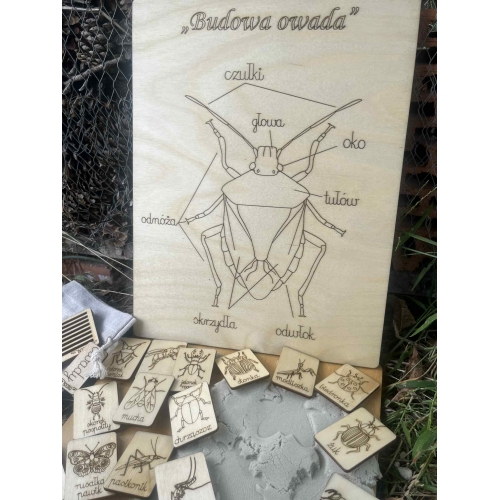 Drewniana układanka 