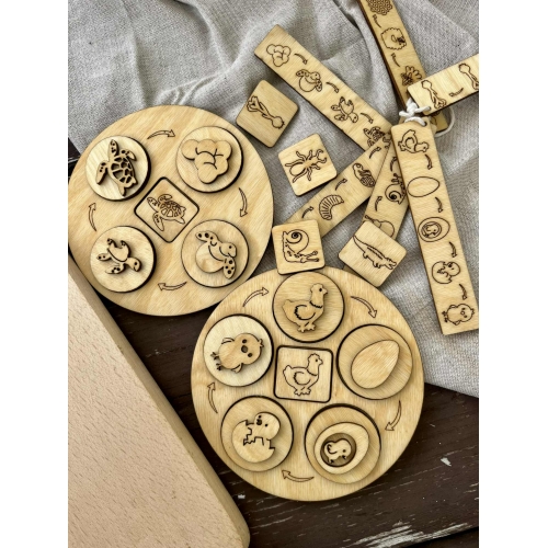 Cykle Rozwojowe (wzór 2)