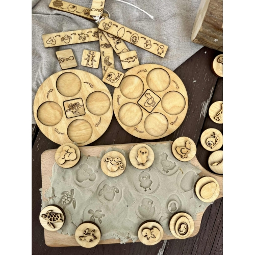 Cykle Rozwojowe (wzór 2)