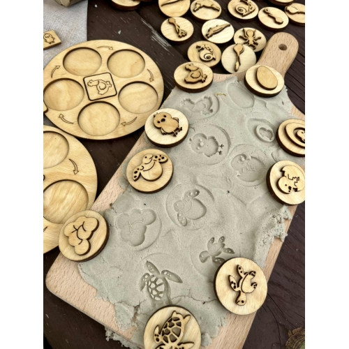 Cykle Rozwojowe (wzór 2)