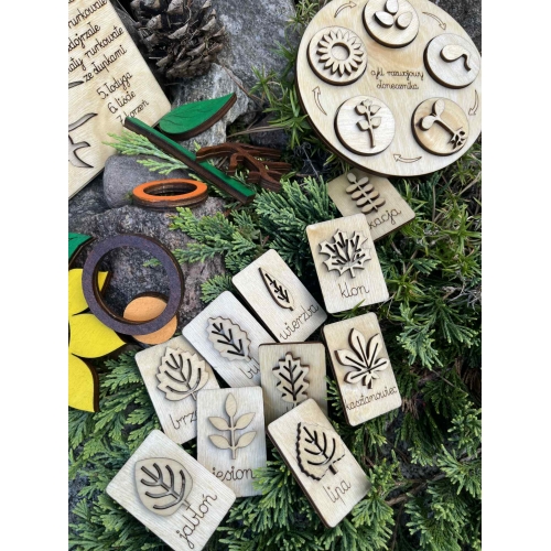 Drewniana układanka  – Budowa słonecznika (cykl rozwojowy, stemple liście, nauka liczenia )