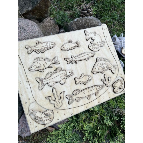 Drewniana Układanka Edukacyjna „Ryby w polskich jeziorach” zestaw niemalowany