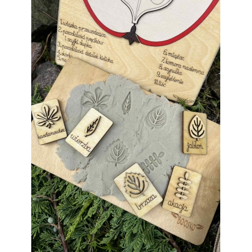 Drewniana układanka – Budowa jabłka