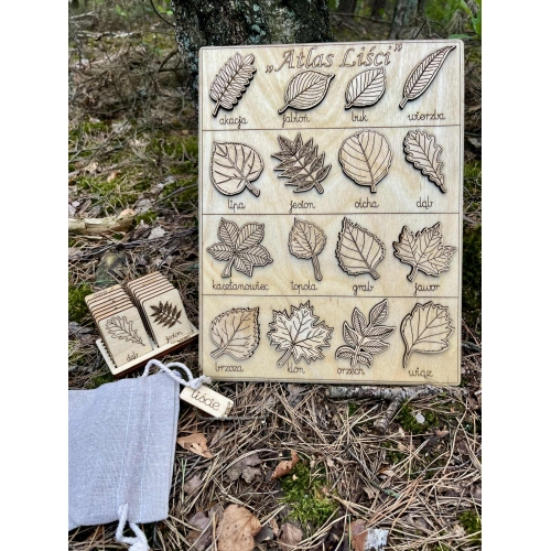 Drewniana układanka "Atlas Liści"