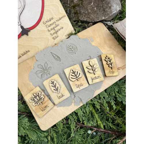 Drewniana układanka – Budowa jabłka