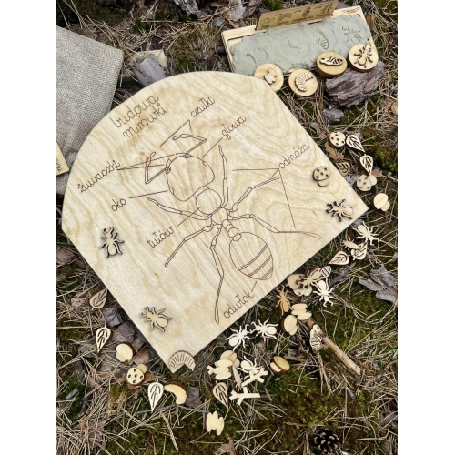 Drewniane Mrowisko – Edukacyjna Przygoda w Świecie Mrówek! (zestaw niemalowany)