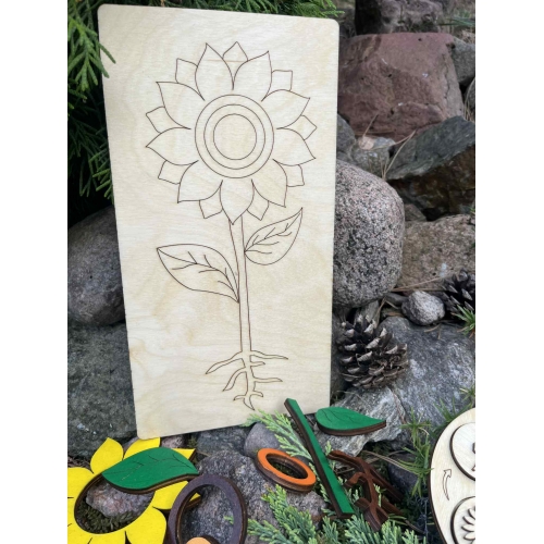 Drewniana układanka  – Budowa słonecznika (cykl rozwojowy, stemple liście, nauka liczenia )