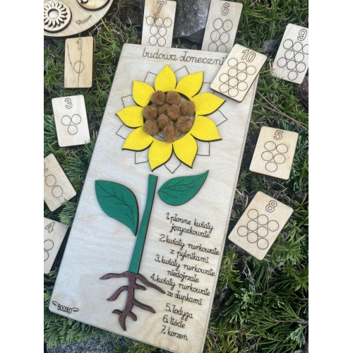Drewniana układanka  – Budowa słonecznika (cykl rozwojowy, stemple liście, nauka liczenia )