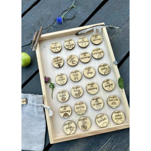 Zestaw żetonów Szukajek- dom i dwór (48 żetonów)