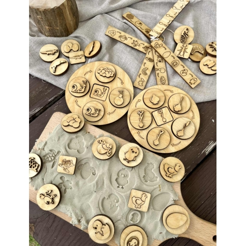 Cykle Rozwojowe (wzór 2)