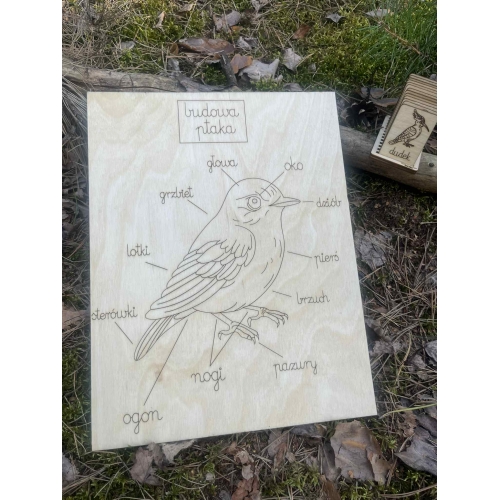 Drewniana układanka „Ptaki