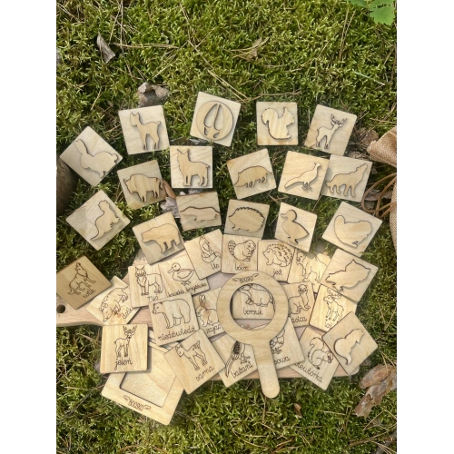 Stemple ''Zwierzęta leśne i ich tropy'' (18szt.)