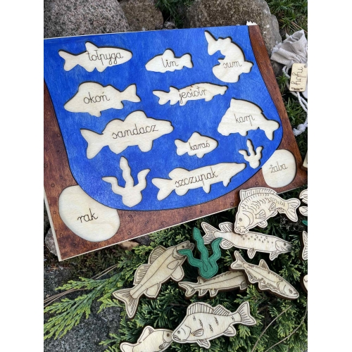 Drewniana Układanka Edukacyjna „Ryby w polskich jeziorach” zestaw malowany