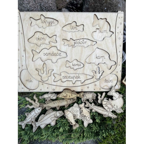 Drewniana Układanka Edukacyjna „Ryby w polskich jeziorach” zestaw niemalowany