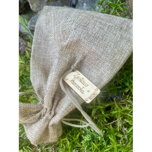 Edukacyjny Drewniany Ul z Akcesoriami – Poznaj Świat Pszczół! (zestaw malowany)