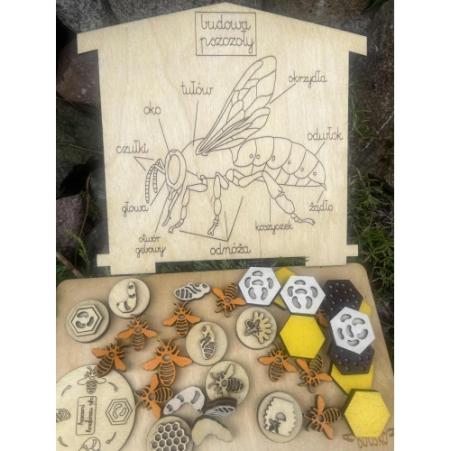 Edukacyjny Drewniany Ul z Akcesoriami (mały)– Poznaj Świat Pszczół! (zestaw malowany)