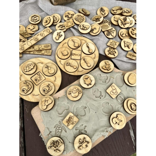 Cykle Rozwojowe- 12 różnych cykli  rozwojowych ( 52 dwustronne stemple )