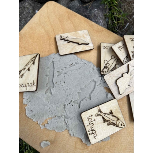 Drewniana Układanka Edukacyjna „Ryby w polskich jeziorach” zestaw niemalowany