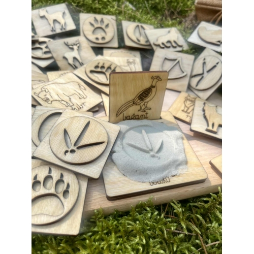 Stemple ''Zwierzęta leśne i ich tropy'' (18szt.)