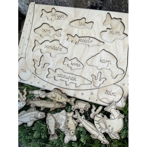 Drewniana Układanka Edukacyjna „Ryby w polskich jeziorach” zestaw niemalowany