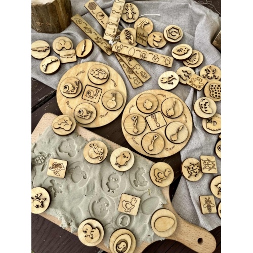 Cykle Rozwojowe- 12 różnych cykli  rozwojowych ( 52 dwustronne stemple )