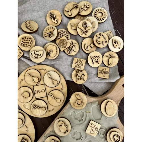 Cykle Rozwojowe- 12 różnych cykli  rozwojowych ( 52 dwustronne stemple )