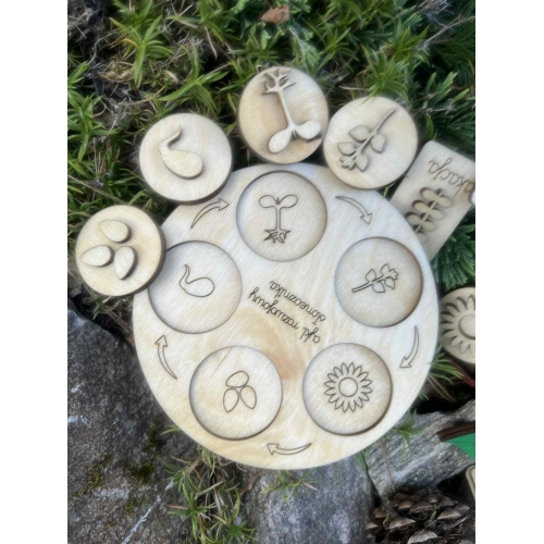 Drewniana układanka  – Budowa słonecznika (cykl rozwojowy, stemple liście, nauka liczenia )