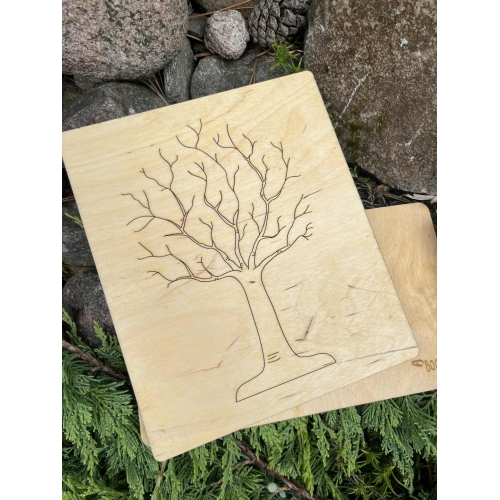 Drewniana układanka – Budowa jabłka